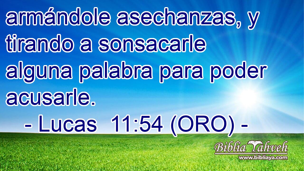  armándole asechanzas, y tirando a sonsacarle alguna palabra para poder acusarle. 