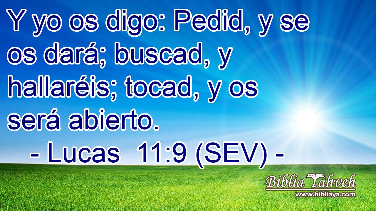 Y yo os digo: Pedid, y se os dará; buscad, y hallaréis; tocad, y os será abierto.