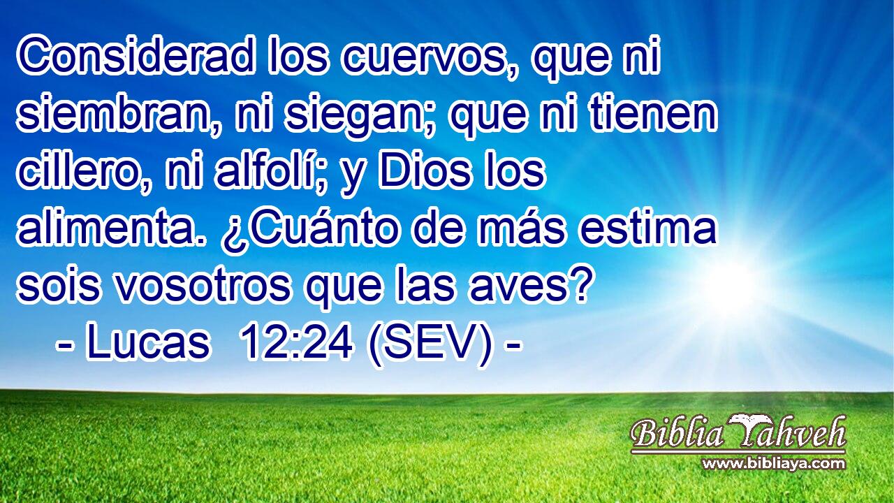 Considerad los cuervos, que ni siembran, ni siegan; que ni tienen cillero, ni alfolí; y Dios los alimenta. ¿Cuánto de más estima sois vosotros que las aves?