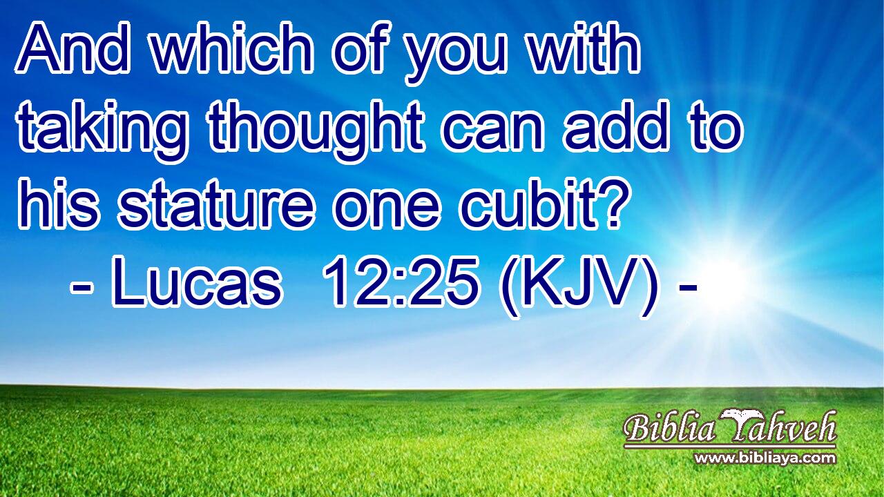 And which of you with taking thought can add to his stature one cubit?