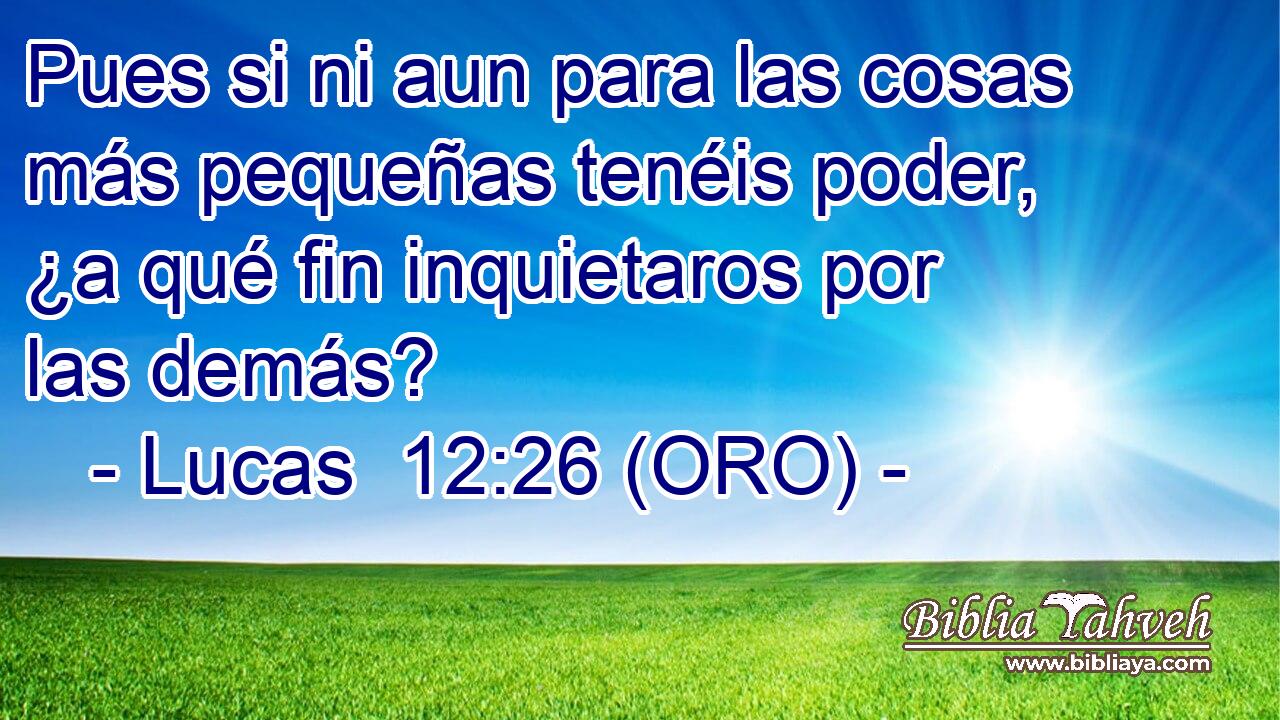  Pues si ni aun para las cosas más pequeñas tenéis poder, ¿a qué fin inquietaros por las demás? 
