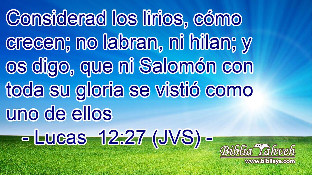 Considerad los lirios, cómo crecen; no labran, ni hilan; y os digo, que ni Salomón con toda su gloria se vistió como uno de ellos