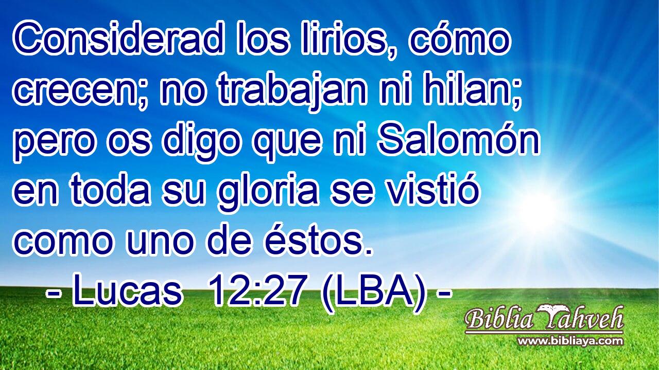 Considerad los lirios, cómo crecen; no trabajan ni hilan; pero os digo que ni Salomón en toda su gloria se vistió como uno de éstos.