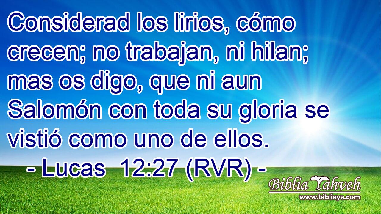 Considerad los lirios, cómo crecen; no trabajan, ni hilan; mas os digo, que ni aun Salomón con toda su gloria se vistió como uno de ellos.