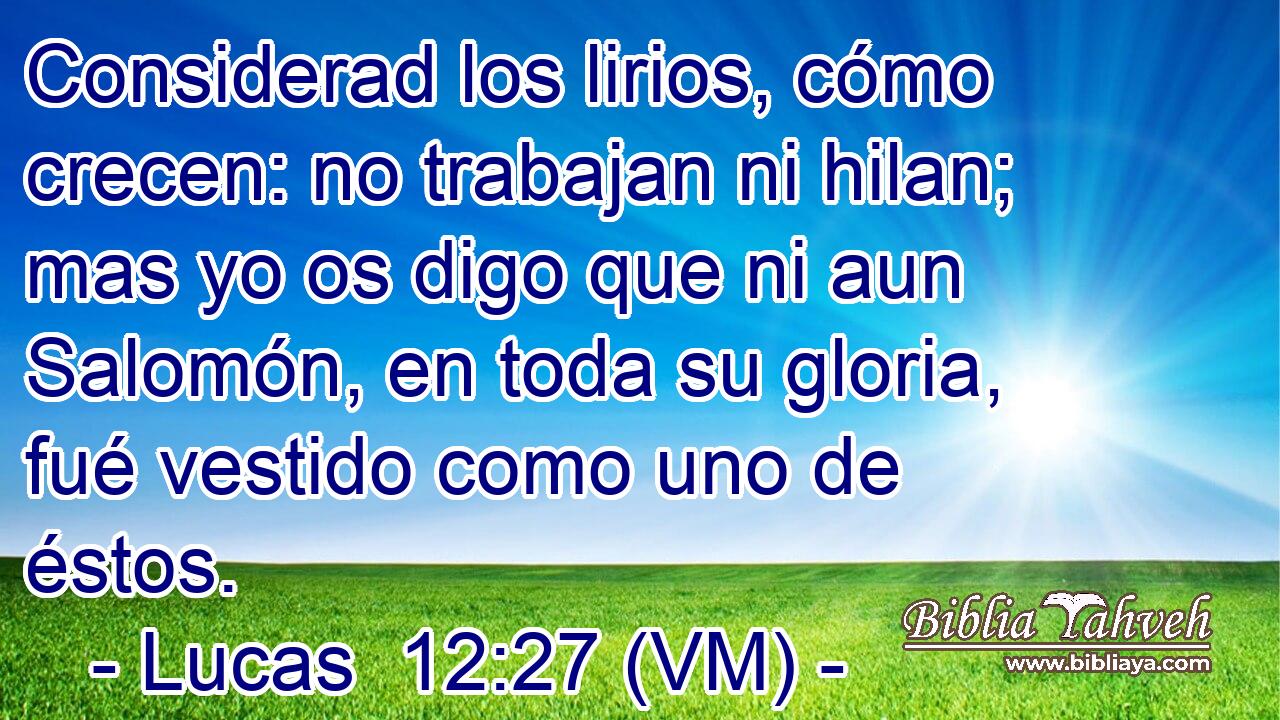  Considerad los lirios, cómo crecen: no trabajan ni hilan; mas yo os digo que ni aun Salomón, en toda su gloria, fué vestido como uno de éstos. 