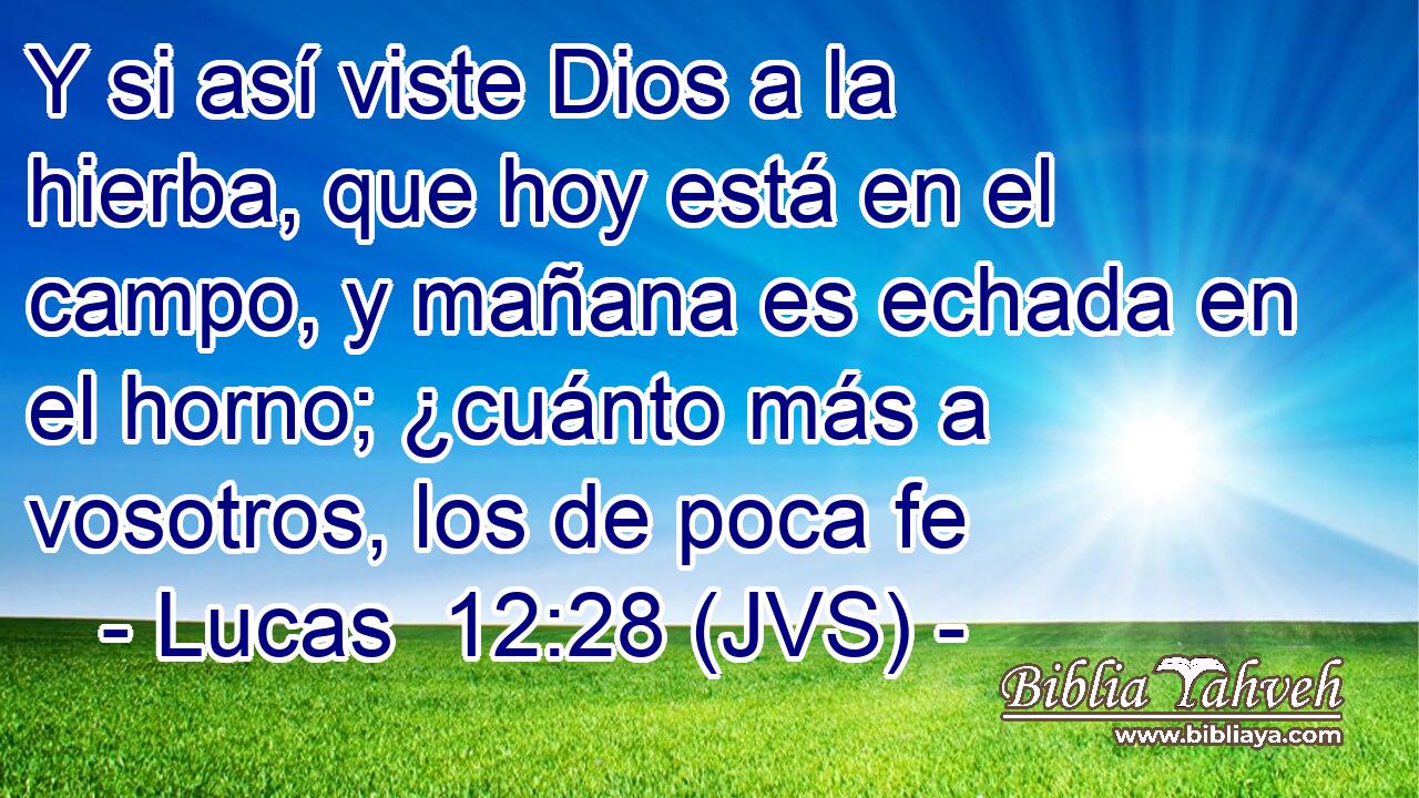Y si así viste Dios a la hierba, que hoy está en el campo, y mañana es echada en el horno; ¿cuánto más a vosotros, los de poca fe