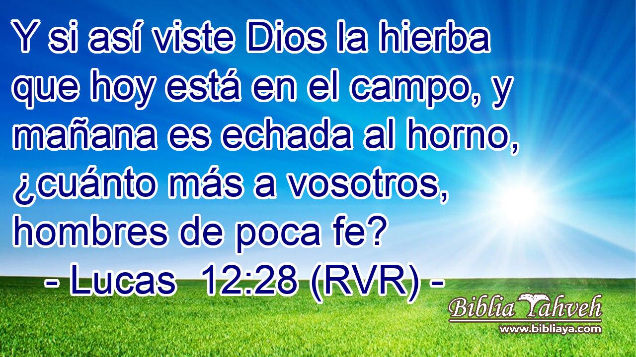 Y si así viste Dios la hierba que hoy está en el campo, y mañana es echada al horno, ¿cuánto más a vosotros, hombres de poca fe?
