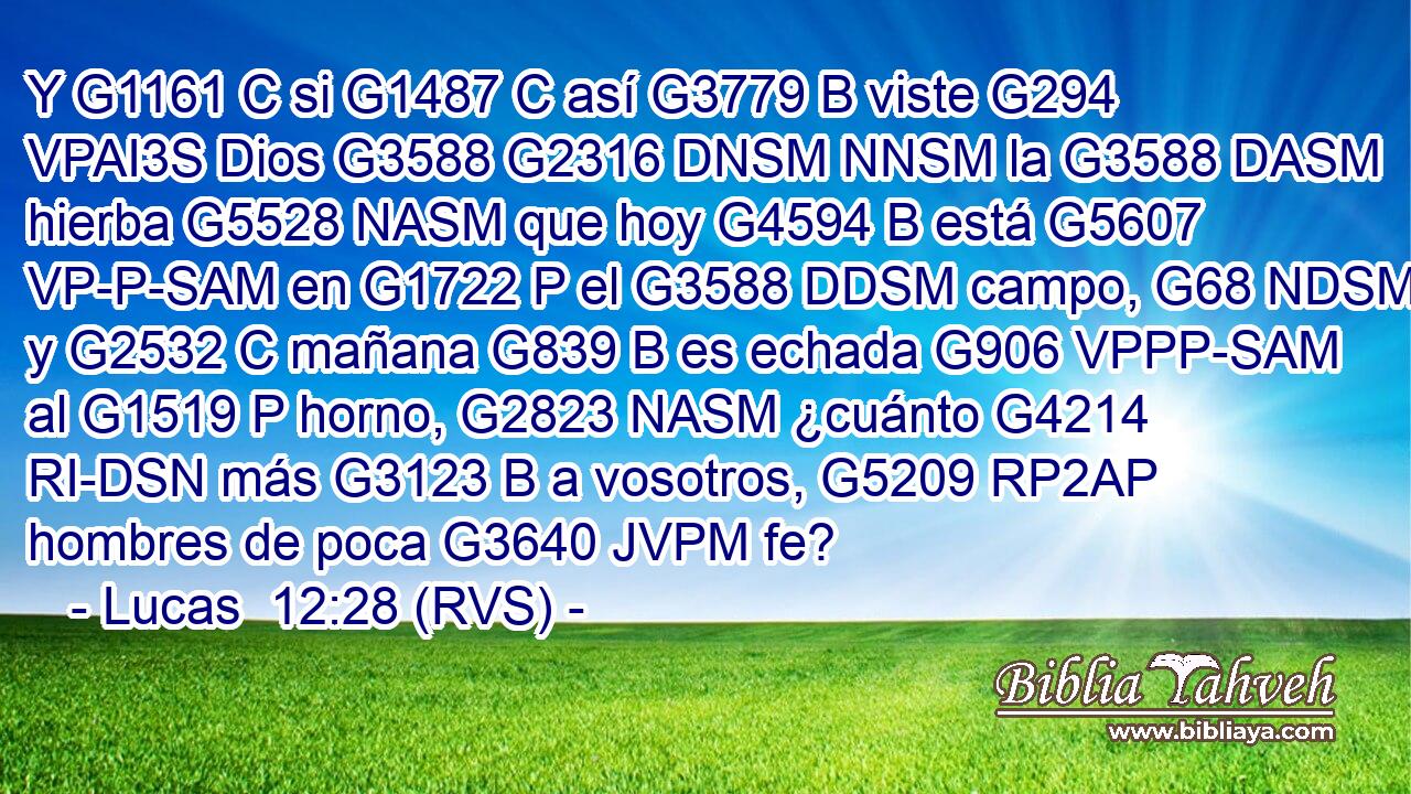 Y G1161 C si G1487 C así G3779 B viste G294 VPAI3S Dios G3588 G2316 DNSM NNSM la G3588 DASM hierba G5528 NASM que hoy G4594 B está G5607 VP-P-SAM en G1722 P el G3588 DDSM campo, G68 NDSM y G2532 C mañana G839 B es echada G906 VPPP-SAM al G1519 P horno, G2823 NASM ¿cuánto G4214 RI-DSN más G3123 B a vosotros, G5209 RP2AP hombres de poca G3640 JVPM fe? 