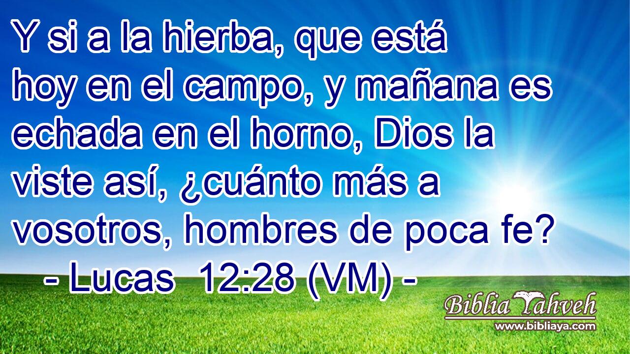  Y si a la hierba, que está hoy en el campo, y mañana es echada en el horno, Dios la viste así, ¿cuánto más a vosotros, hombres de poca fe? 