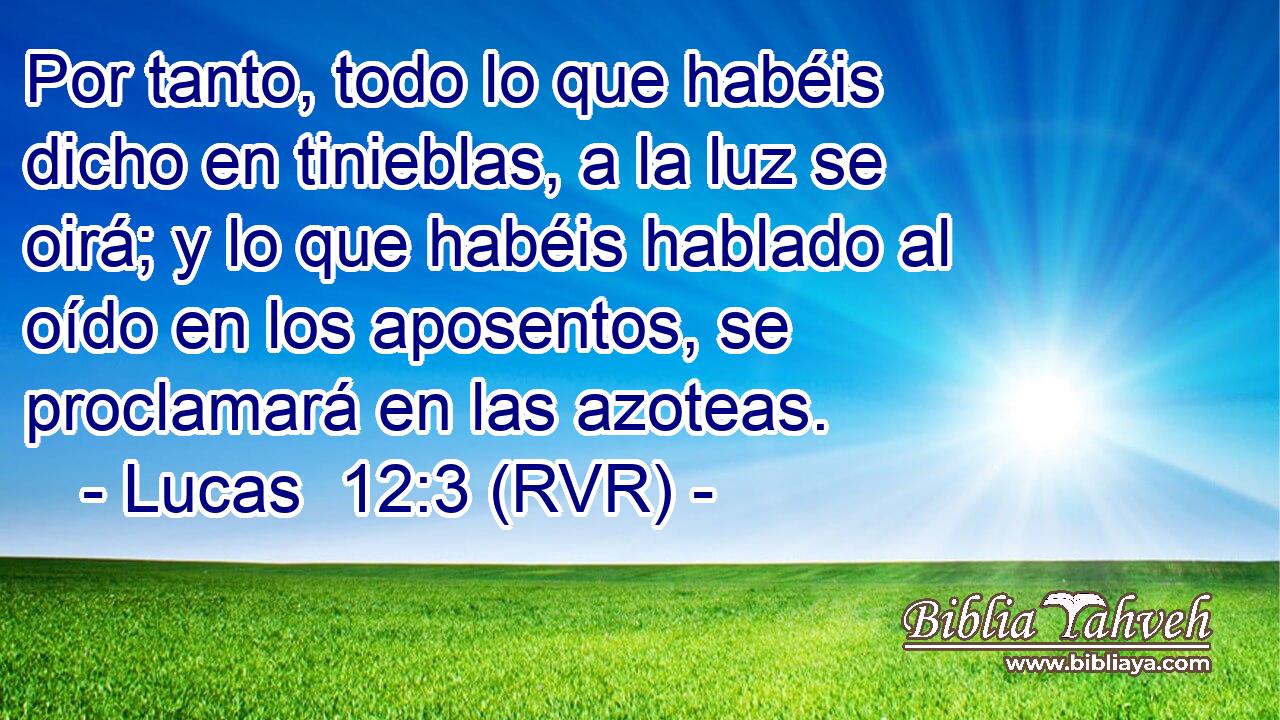 Por tanto, todo lo que habéis dicho en tinieblas, a la luz se oirá; y lo que habéis hablado al oído en los aposentos, se proclamará en las azoteas.
