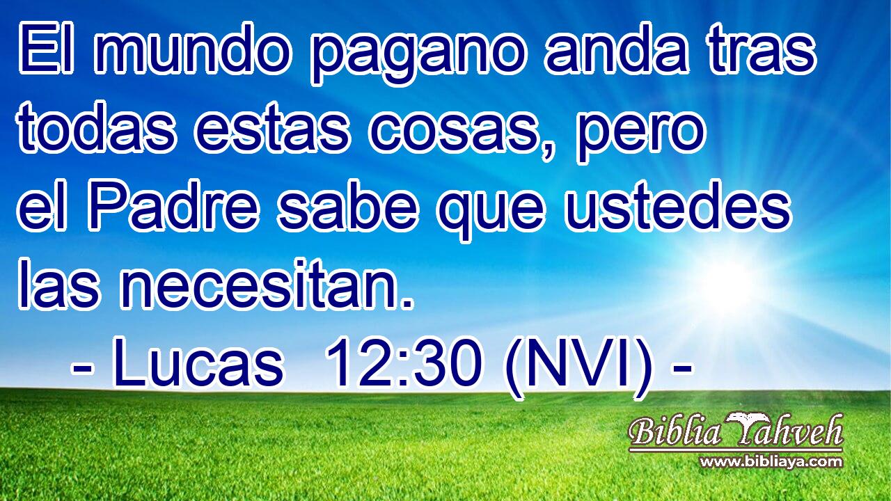  El mundo pagano anda tras todas estas cosas, pero el Padre sabe que ustedes las necesitan. 