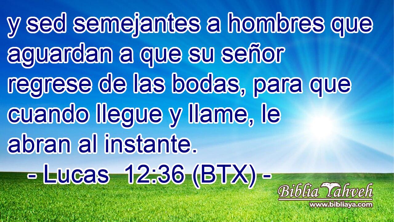 y sed semejantes a hombres que aguardan a que su señor regrese de las bodas, para que cuando llegue y llame, le abran al instante.
