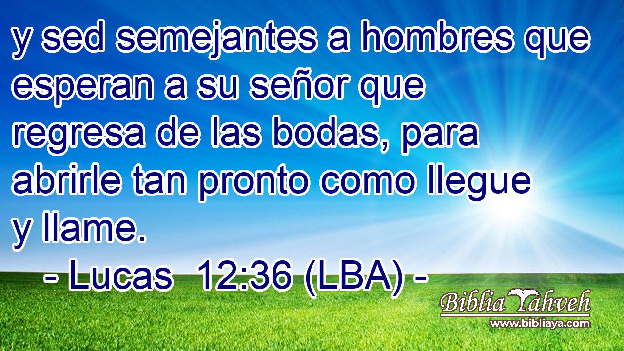 y sed semejantes a hombres que esperan a su señor que regresa de las bodas, para abrirle tan pronto como llegue y llame.