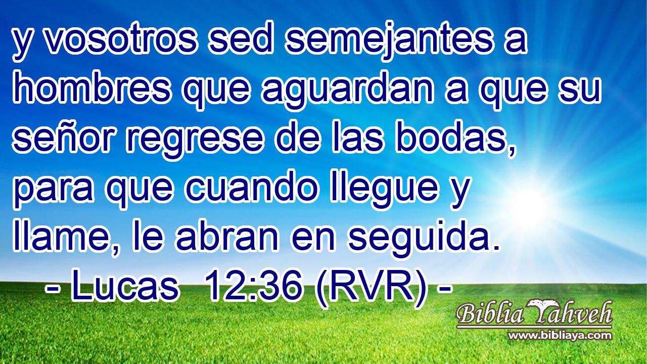 y vosotros sed semejantes a hombres que aguardan a que su señor regrese de las bodas, para que cuando llegue y llame, le abran en seguida.