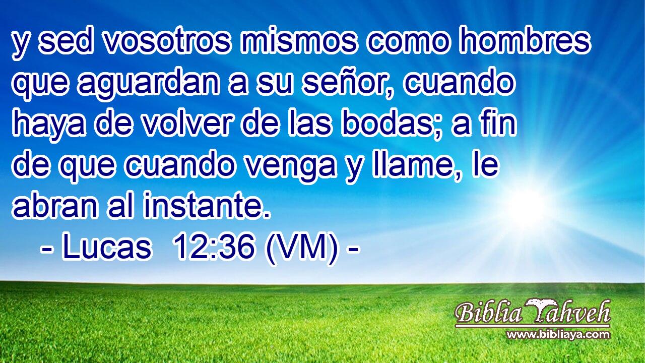  y sed vosotros mismos como hombres que aguardan a su señor, cuando haya de volver de las bodas; a fin de que cuando venga y llame, le abran al instante. 