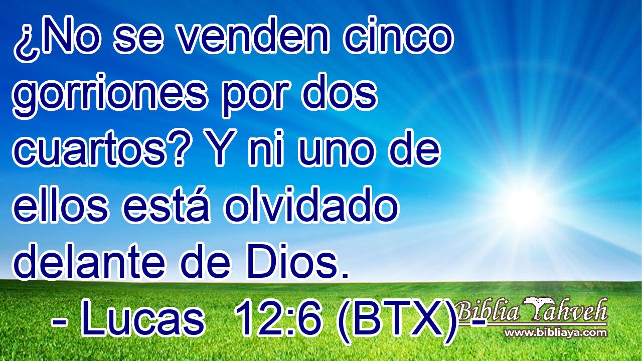 ¿No se venden cinco gorriones por dos cuartos? Y ni uno de ellos está olvidado delante de Dios.