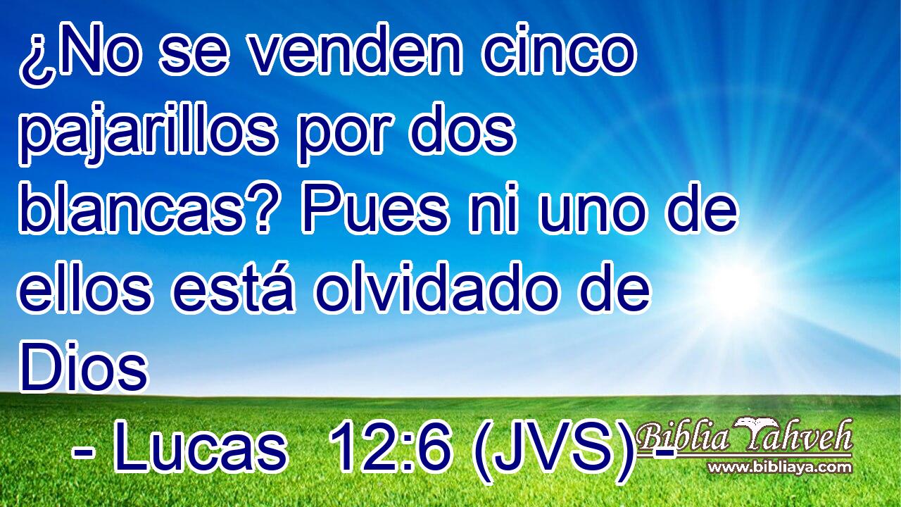 ¿No se venden cinco pajarillos por dos blancas? Pues ni uno de ellos está olvidado de Dios
