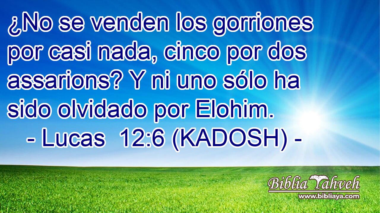  ¿No se venden los gorriones por casi nada, cinco por dos assarions? Y ni uno sólo ha sido olvidado por Elohim. 