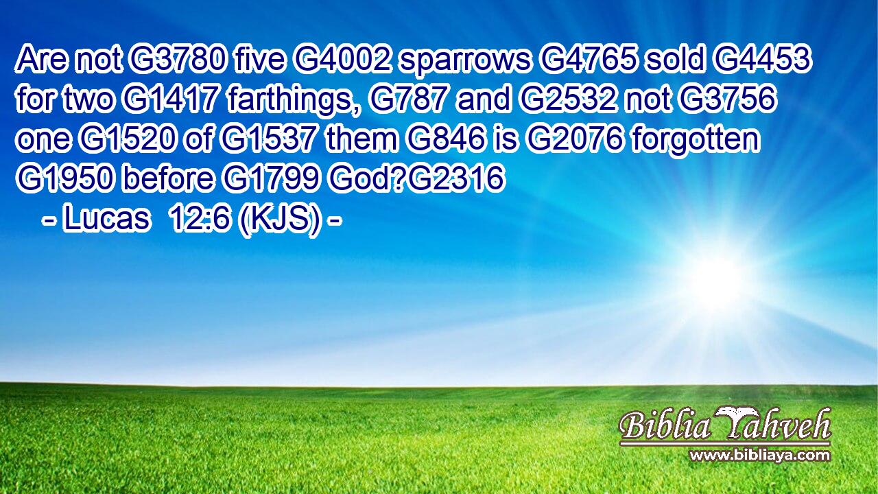 Are not G3780 five G4002 sparrows G4765 sold G4453 for two G1417 farthings, G787 and G2532 not G3756 one G1520 of G1537 them G846 is G2076 forgotten G1950 before G1799 God?G2316