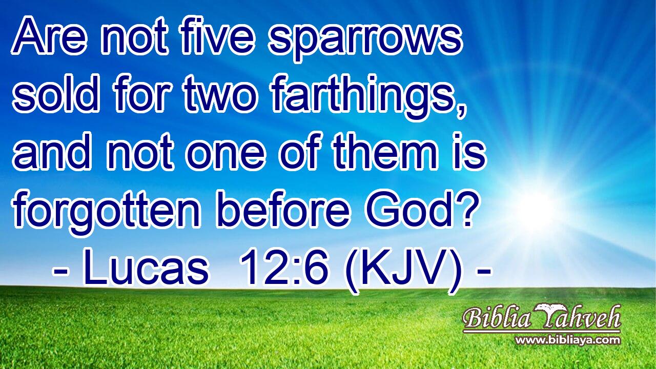 Are not five sparrows sold for two farthings, and not one of them is forgotten before God?