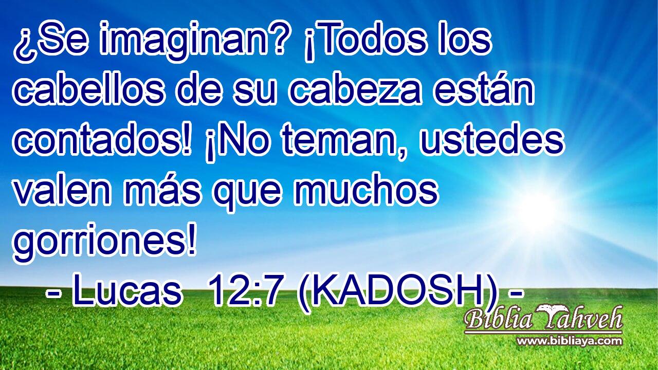  ¿Se imaginan? ¡Todos los cabellos de su cabeza están contados! ¡No teman, ustedes valen más que muchos gorriones! 