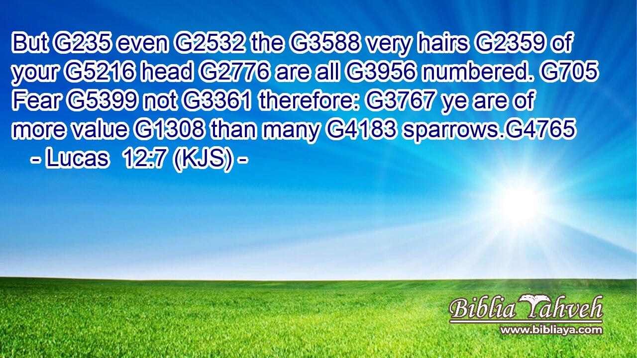 But G235 even G2532 the G3588 very hairs G2359 of your G5216 head G2776 are all G3956 numbered. G705 Fear G5399 not G3361 therefore: G3767 ye are of more value G1308 than many G4183 sparrows.G4765