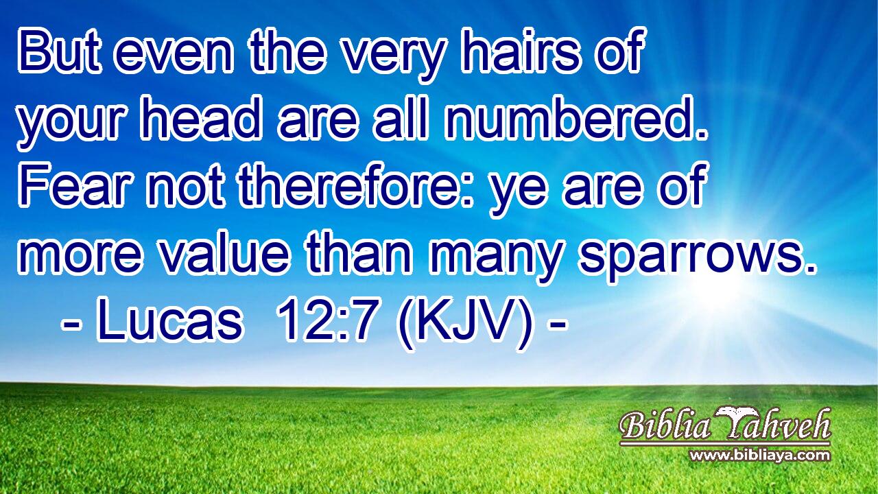 But even the very hairs of your head are all numbered. Fear not therefore: ye are of more value than many sparrows.