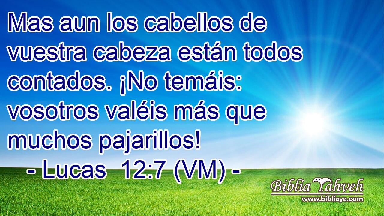  Mas aun los cabellos de vuestra cabeza están todos contados. ¡No temáis: vosotros valéis más que muchos pajarillos! 