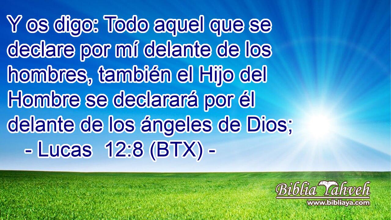 Y os digo: Todo aquel que se declare por mí delante de los hombres, también el Hijo del Hombre se declarará por él delante de los ángeles de Dios;