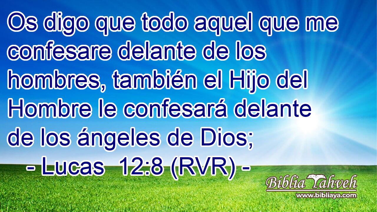 Os digo que todo aquel que me confesare delante de los hombres, también el Hijo del Hombre le confesará delante de los ángeles de Dios;