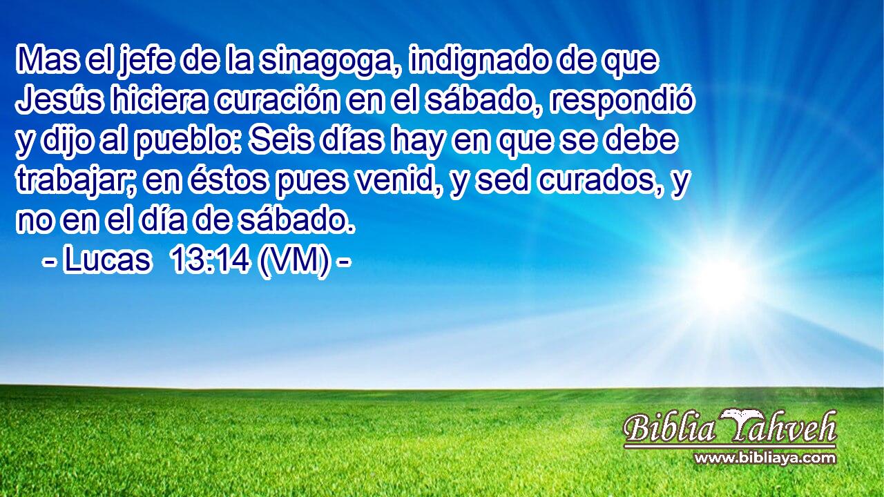  Mas el jefe de la sinagoga, indignado de que Jesús hiciera curación en el sábado, respondió y dijo al pueblo: Seis días hay en que se debe trabajar; en éstos pues venid, y sed curados, y no en el día de sábado. 