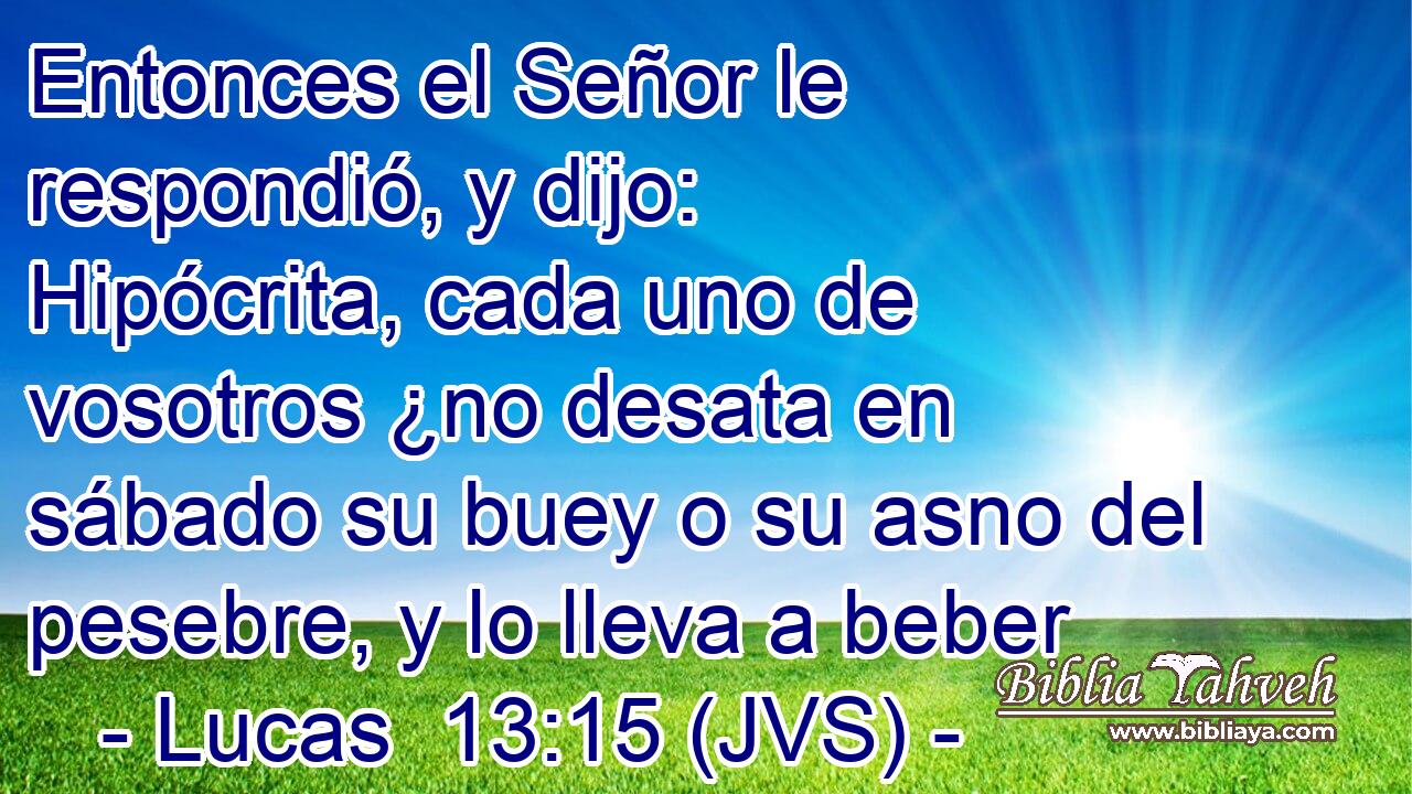Entonces el Señor le respondió, y dijo: Hipócrita, cada uno de vosotros ¿no desata en sábado su buey o su asno del pesebre, y lo lleva a beber