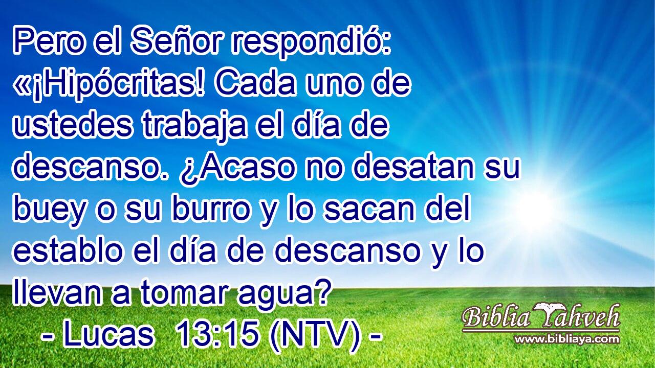 Pero el Señor respondió: «¡Hipócritas! Cada uno de ustedes trabaja el día de descanso. ¿Acaso no desatan su buey o su burro y lo sacan del establo el día de descanso y lo llevan a tomar agua?
