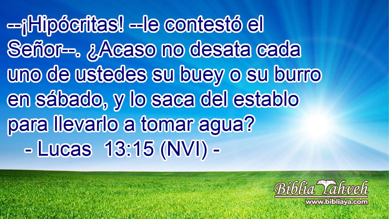  --¡Hipócritas! --le contestó el Señor--. ¿Acaso no desata cada uno de ustedes su buey o su burro en sábado, y lo saca del establo para llevarlo a tomar agua? 
