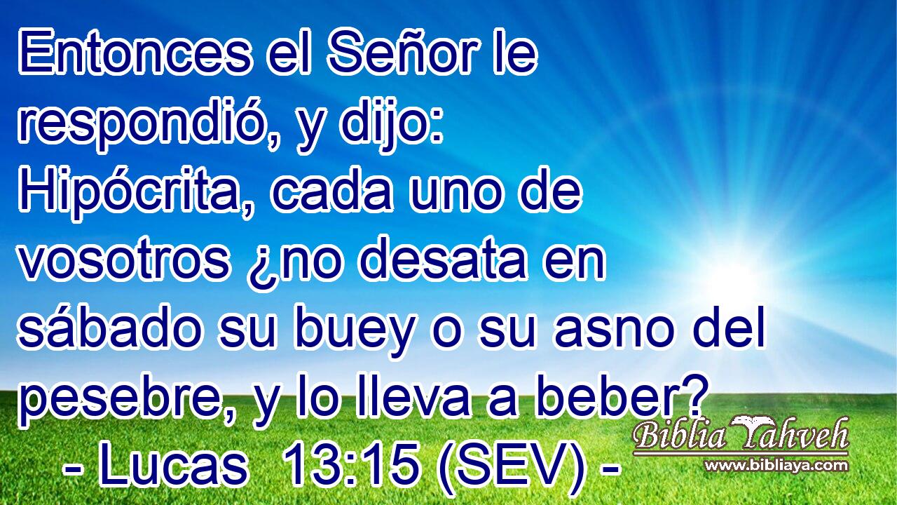 Entonces el Señor le respondió, y dijo: Hipócrita, cada uno de vosotros ¿no desata en sábado su buey o su asno del pesebre, y lo lleva a beber?