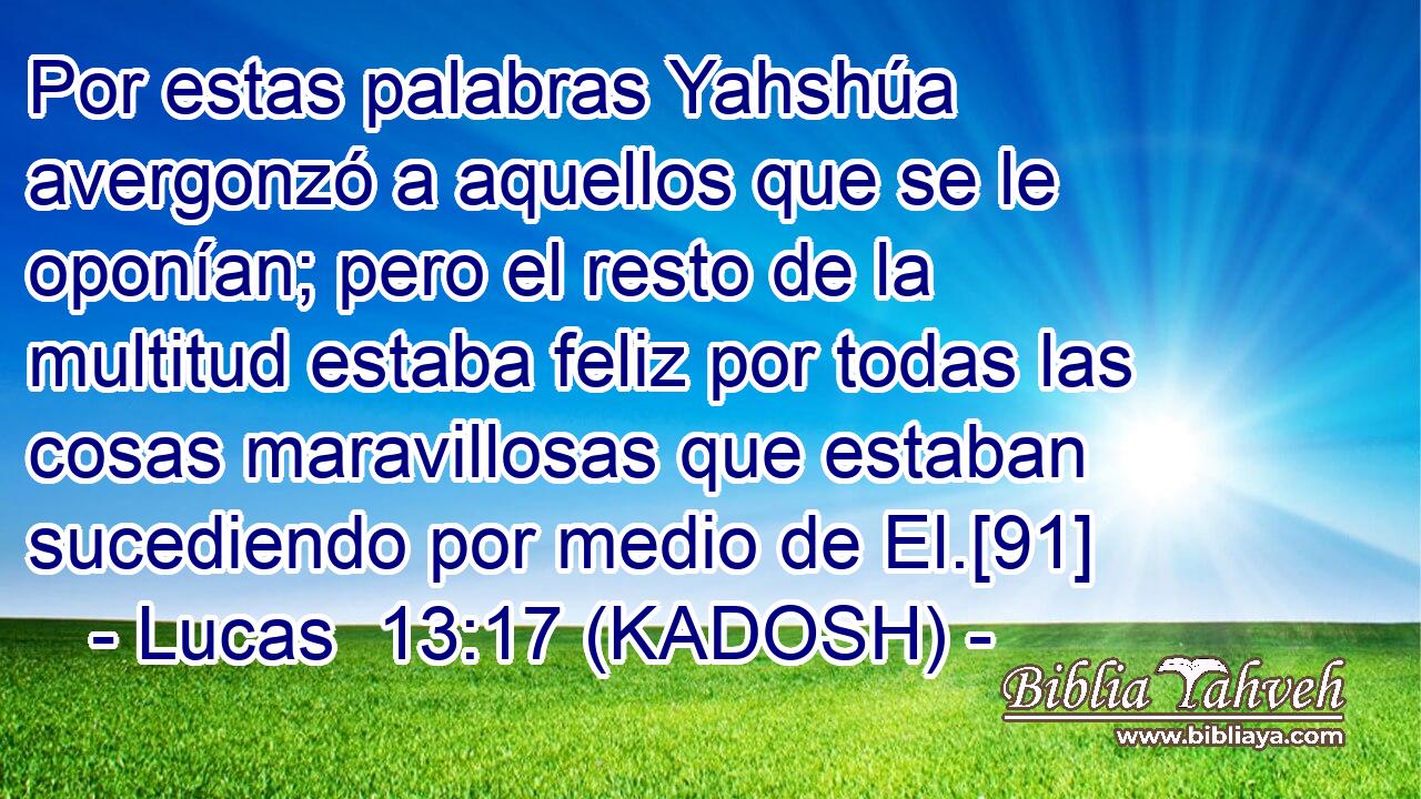  Por estas palabras Yahshúa avergonzó a aquellos que se le oponían; pero el resto de la multitud estaba feliz por todas las cosas maravillosas que estaban sucediendo por medio de El.[91] 