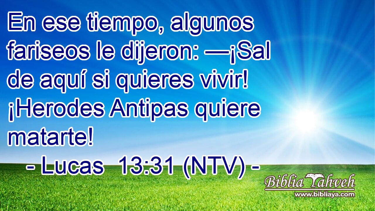 En ese tiempo, algunos fariseos le dijeron: —¡Sal de aquí si quieres vivir! ¡Herodes Antipas quiere matarte!