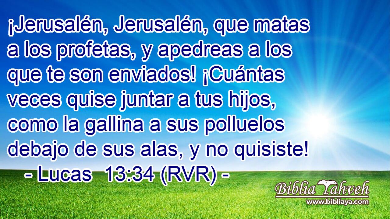¡Jerusalén, Jerusalén, que matas a los profetas, y apedreas a los que te son enviados! ¡Cuántas veces quise juntar a tus hijos, como la gallina a sus polluelos debajo de sus alas, y no quisiste!