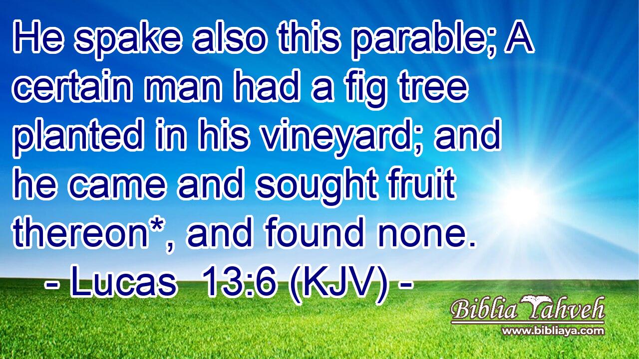 He spake also this parable; A certain man had a fig tree planted in his vineyard; and he came and sought fruit thereon*, and found none.