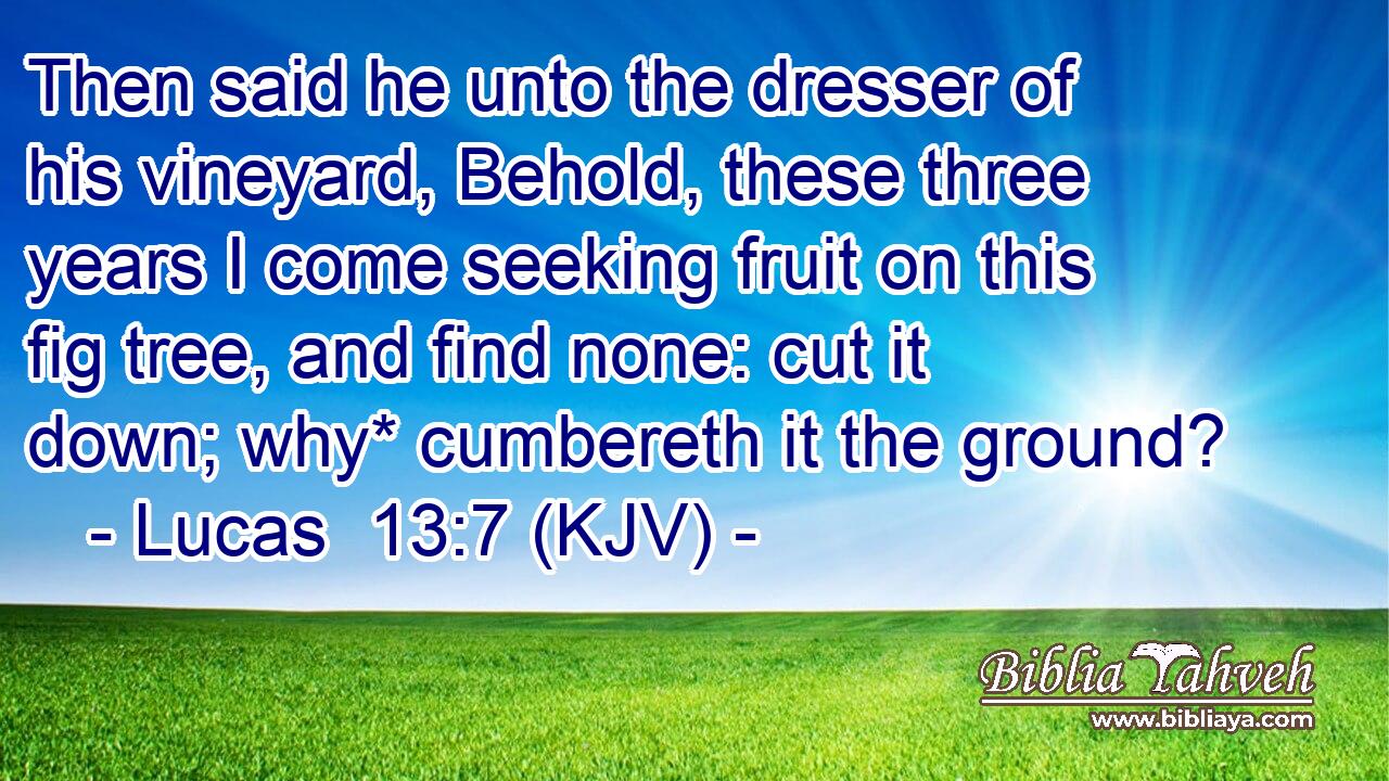 Then said he unto the dresser of his vineyard, Behold, these three years I come seeking fruit on this fig tree, and find none: cut it down; why* cumbereth it the ground?