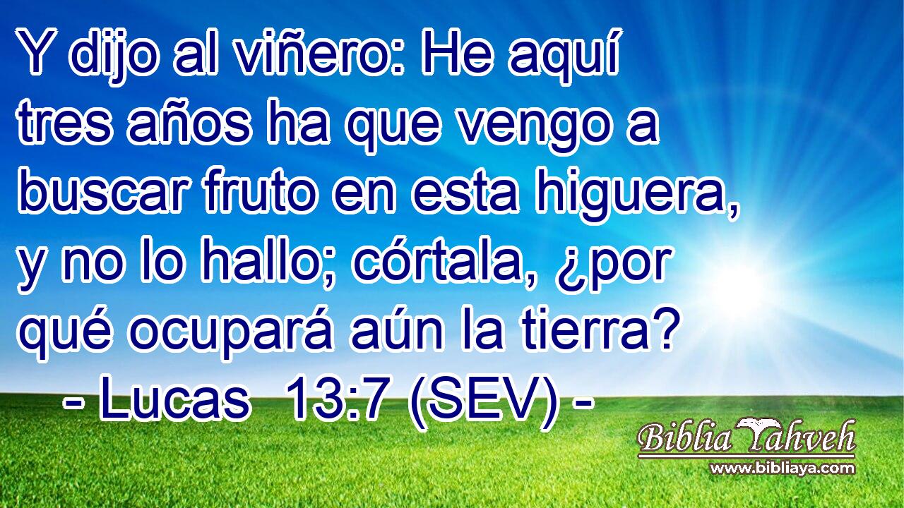 Y dijo al viñero: He aquí tres años ha que vengo a buscar fruto en esta higuera, y no lo hallo; córtala, ¿por qué ocupará aún la tierra?
