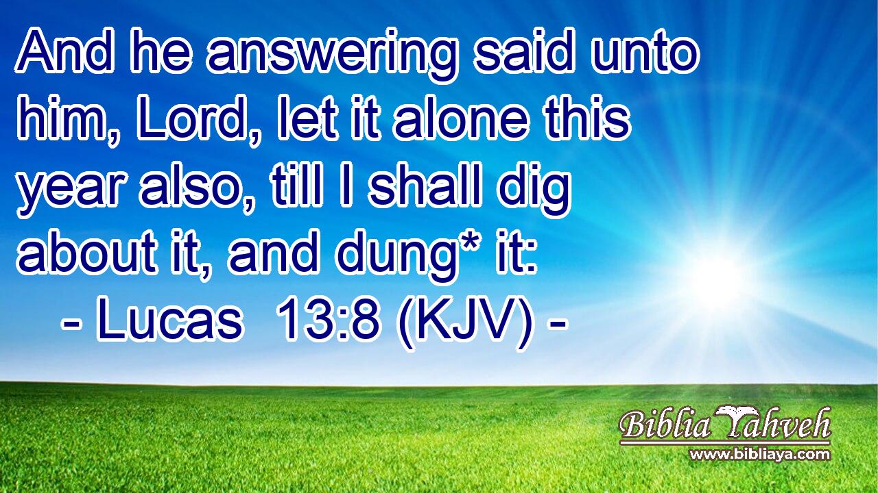 And he answering said unto him, Lord, let it alone this year also, till I shall dig about it, and dung* it: