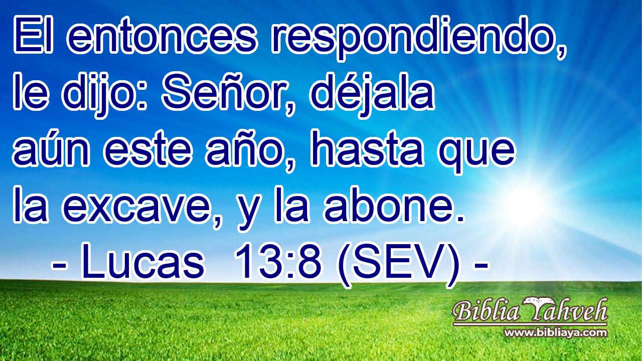 El entonces respondiendo, le dijo: Señor, déjala aún este año, hasta que la excave, y la abone.