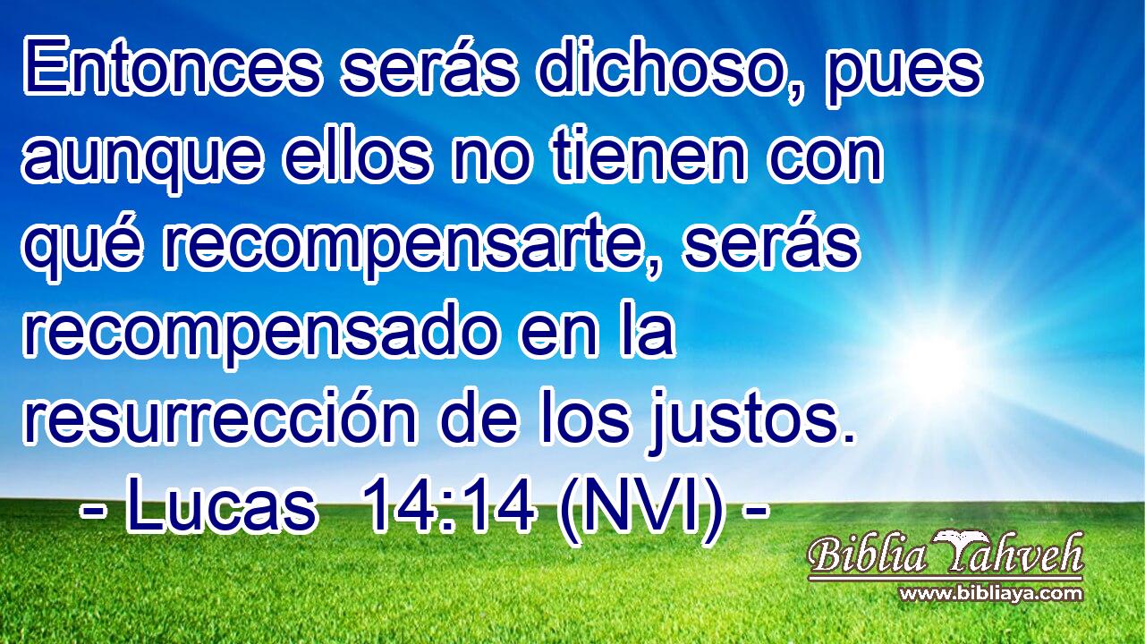  Entonces serás dichoso, pues aunque ellos no tienen con qué recompensarte, serás recompensado en la resurrección de los justos. 