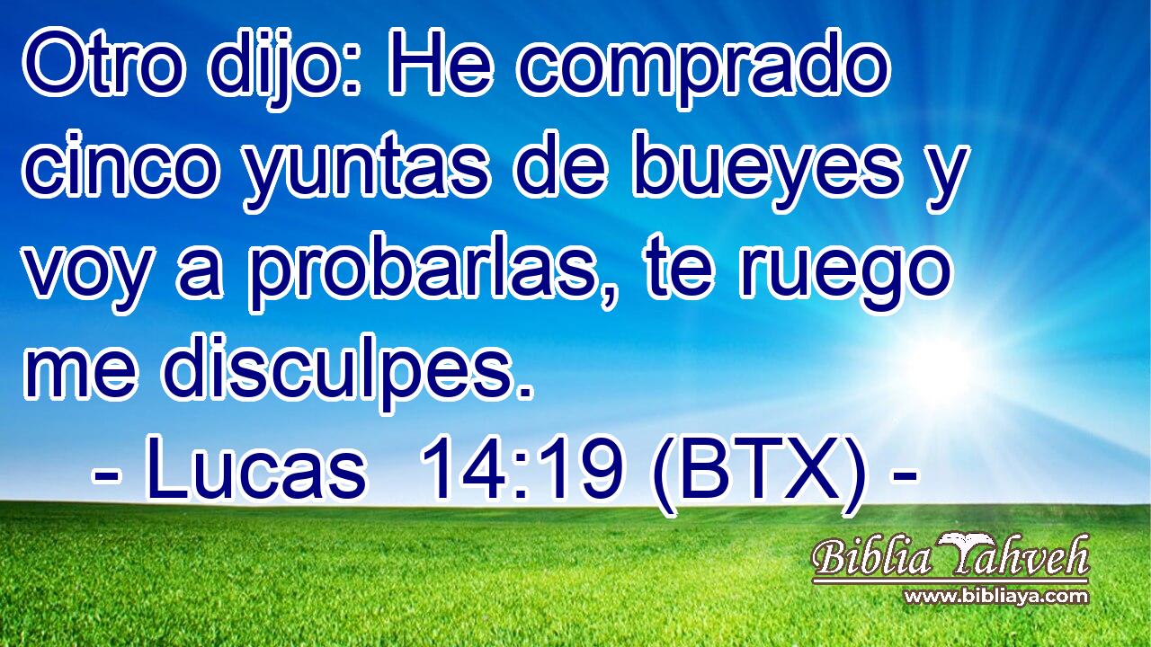 Otro dijo: He comprado cinco yuntas de bueyes y voy a probarlas, te ruego me disculpes.