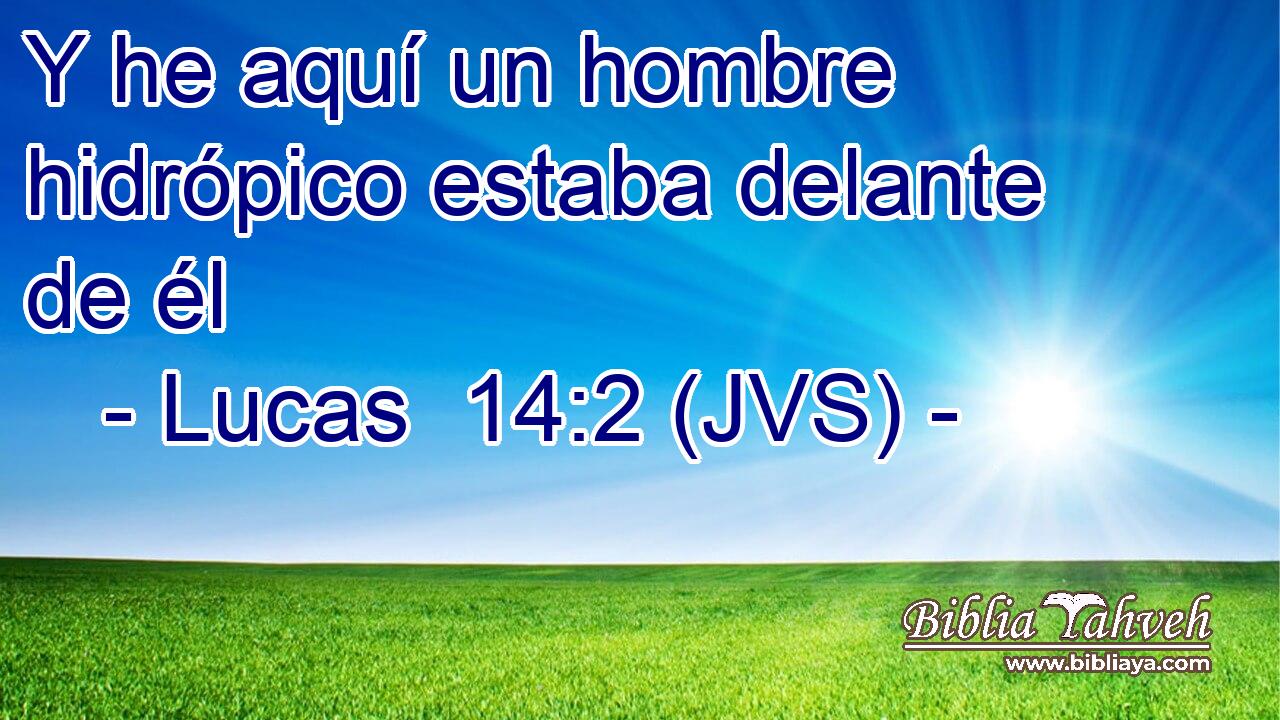 Y he aquí un hombre hidrópico estaba delante de él