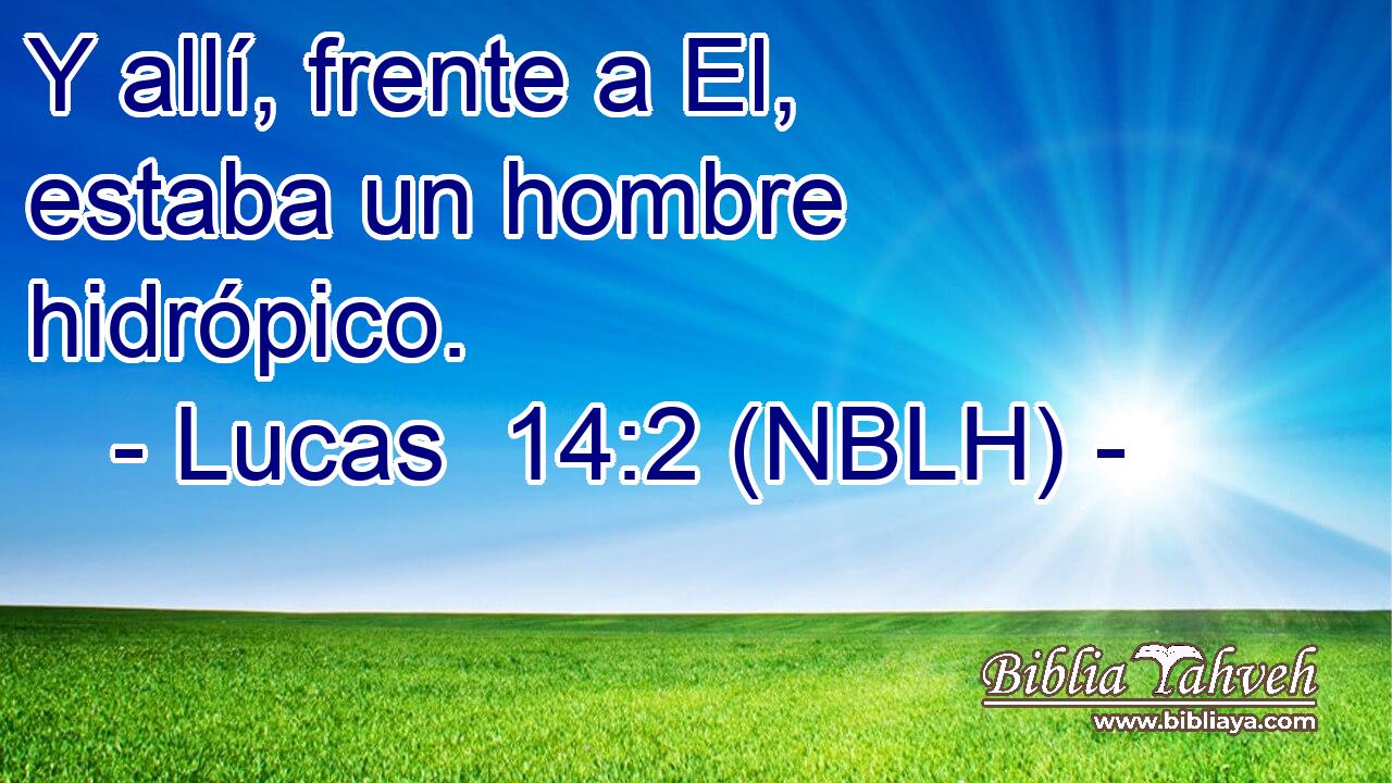  Y allí, frente a El, estaba un hombre hidrópico. 