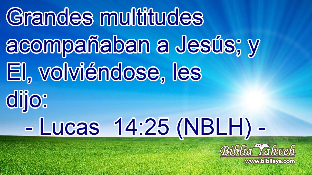  Grandes multitudes acompañaban a Jesús; y El, volviéndose, les dijo: 