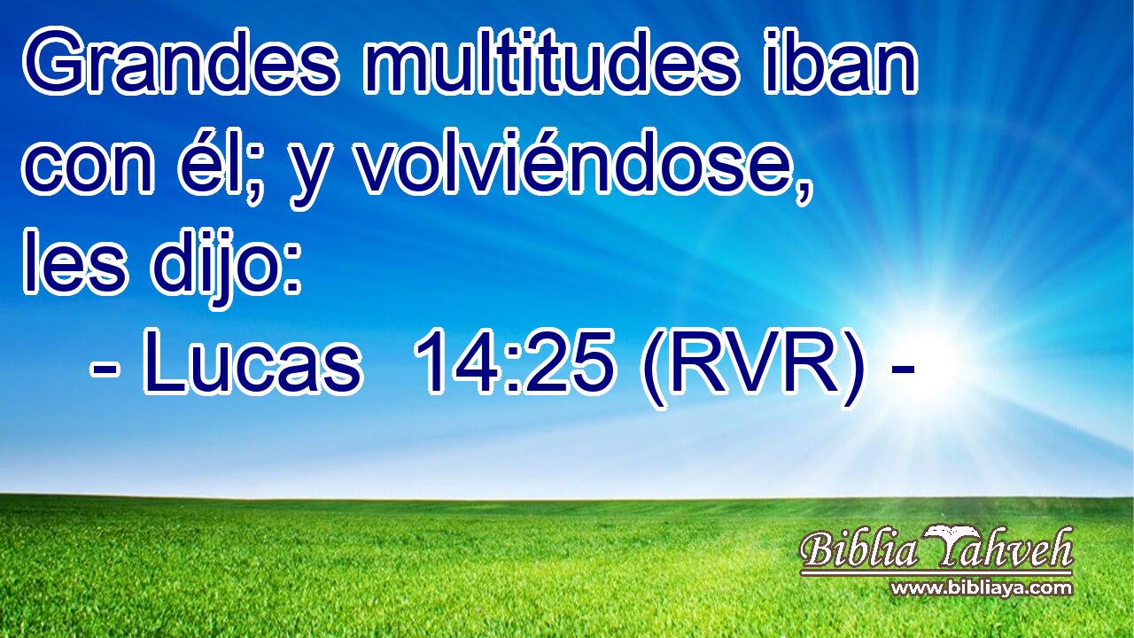 Grandes multitudes iban con él; y volviéndose, les dijo: