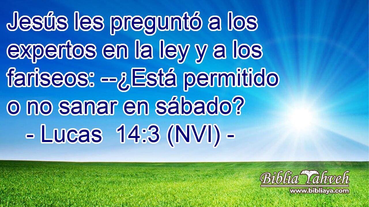  Jesús les preguntó a los expertos en la ley y a los fariseos: --¿Está permitido o no sanar en sábado? 